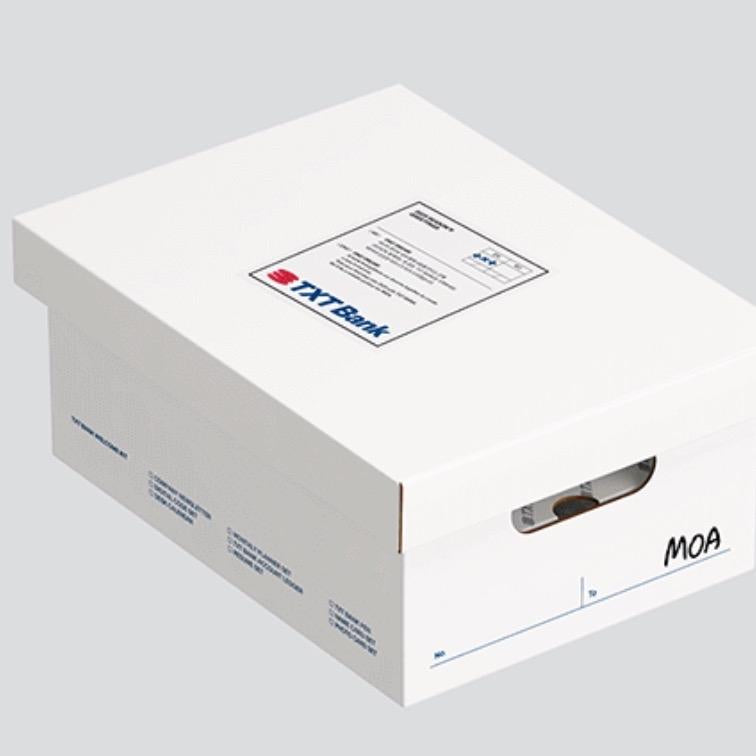 TXT - TXT Bank Seasons Greeting 2025 with preorder bonus